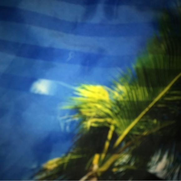 Corona Mens Board shorts lined multicolored size Large - Picture 9 of 12